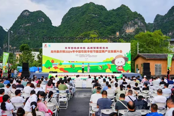 龍州縣堅(jiān)果產(chǎn)業(yè)發(fā)展大會(huì)在上龍鄉(xiāng)天琴壯寨召開(kāi)。