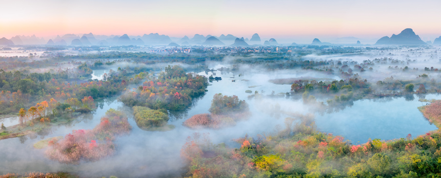 濕地秋韻。馬紅兵攝