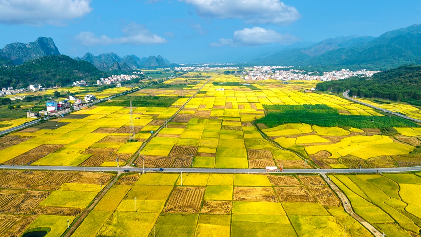 省道511線武宣通挽鎮(zhèn)大團村路段。廣西公路發(fā)展中心供圖