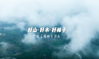 三等獎(jiǎng)：好山好水好柿子作者：韋繼平
