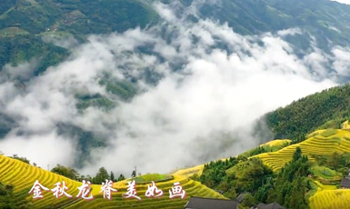 優(yōu)秀獎(jiǎng)：金秋龍脊美如畫張全堂