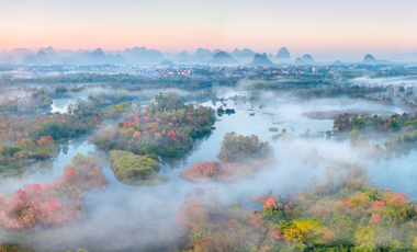 優(yōu)秀獎(jiǎng)：濕地秋韻作者：馬紅兵