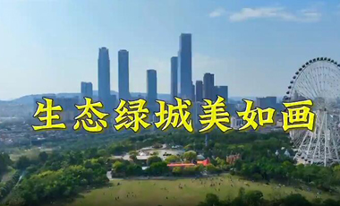 優(yōu)秀獎(jiǎng)：生態(tài)綠城美如畫作者：張玲