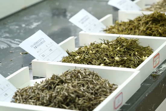 眾多茉莉花茶產(chǎn)品琳瑯滿目。