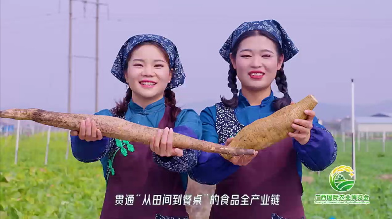 廣西國際農(nóng)業(yè)博覽會宣傳短片
