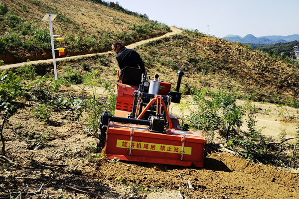 工人在金槐基地操作新型機(jī)械進(jìn)行松土作業(yè)。