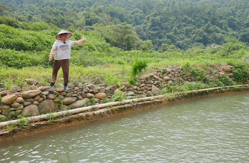 人大代表梁婷在大王嶺發(fā)展清水野生河魚基地產(chǎn)業(yè)。