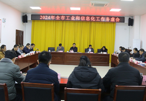 百色市工業(yè)和信息化局召開2024年度全市工業(yè)和信息化工作務(wù)虛會(huì)