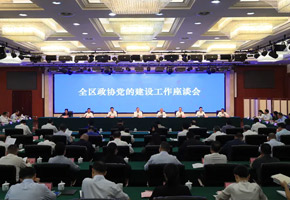 全區(qū)政協(xié)黨的建設(shè)工作座談會在召開