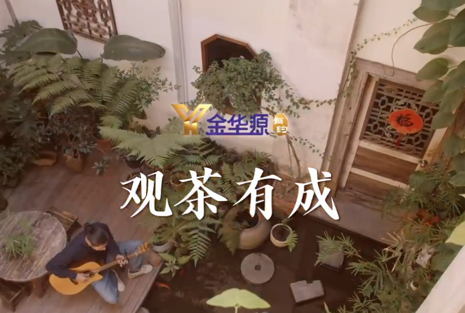 遇見·六堡茶｜觀茶有成