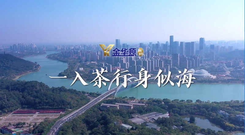遇見·六堡茶｜一如茶行身似海