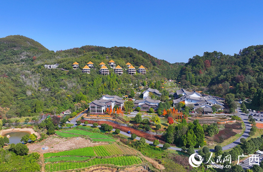 大碧頭國際旅游度假區(qū)。人民網(wǎng) 付華周攝