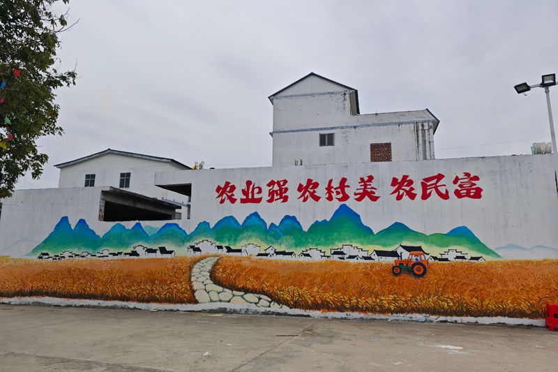 祥周鎮(zhèn)百銀村泓西屯“和美鄉(xiāng)村”主題墻繪。韋存諾攝