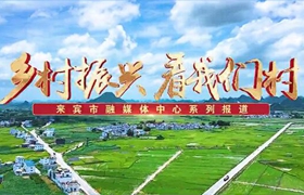 鄉(xiāng)村振興看我們村