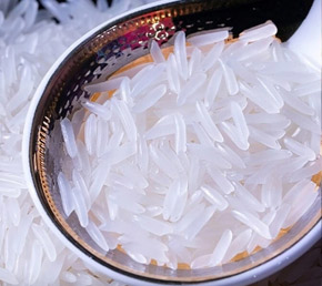 柬埔寨貓牙香米
柬埔寨貓牙香米?是一種源自柬埔寨的長(zhǎng)粒型大米,以其獨(dú)特的品質(zhì)和風(fēng)味著稱。這種大米細(xì)長(zhǎng)且晶瑩剔透,煮熟后香氣四溢,口感細(xì)膩,軟糯香甜,讓人回味無(wú)窮?。?