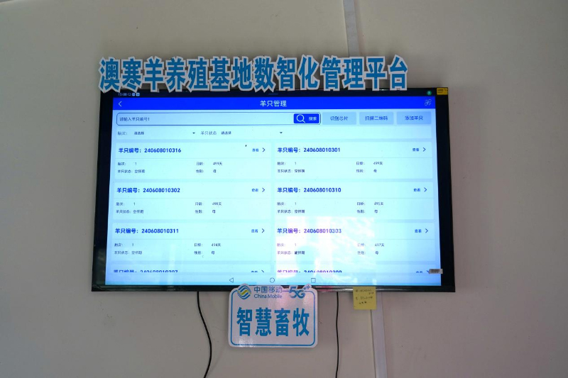 “5G智慧畜牧”系統(tǒng)后臺監(jiān)測數(shù)據(jù)。林峰攝