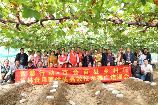 王健常年致力于食用菌優(yōu)質(zhì)高效技術(shù)推廣培訓(xùn)工作。桂林市委老干部局供圖