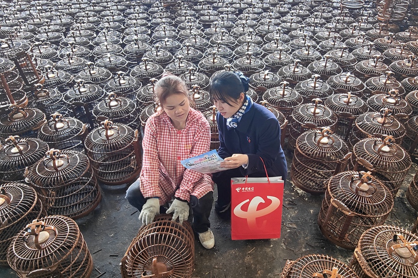 圖為電信員工（右）在鳥(niǎo)籠加工廠宣傳防范新型網(wǎng)絡(luò)詐騙。柳江電信供圖