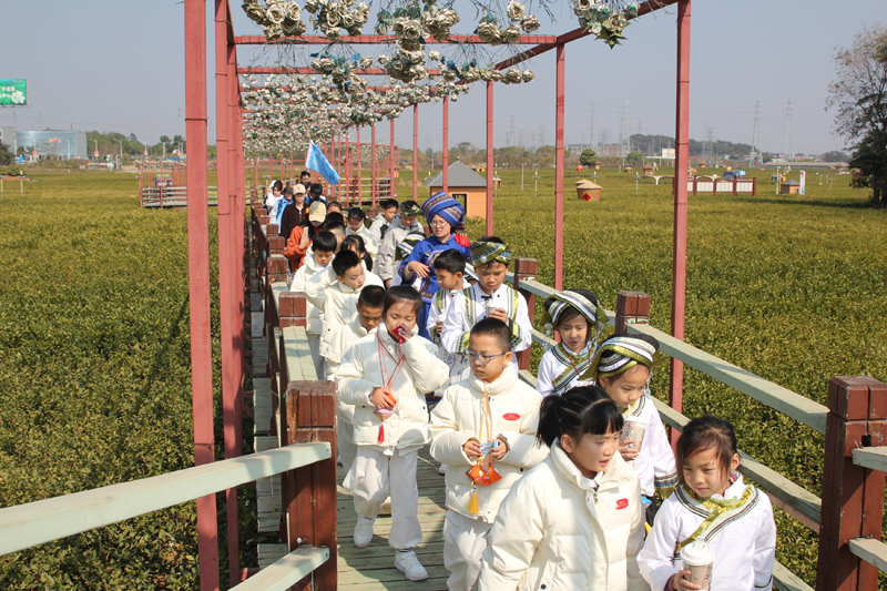 “小雪花”和“小茉莉”游覽茉莉花園。張桂婷攝
