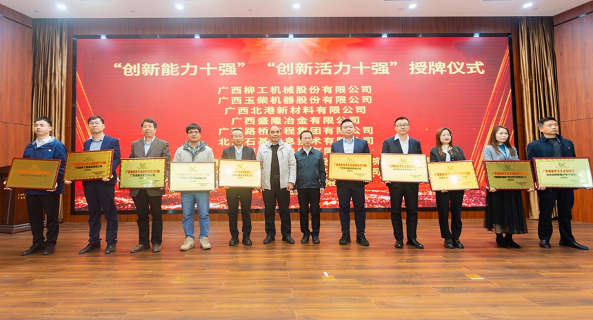 “創(chuàng)新能力十強(qiáng)”和“創(chuàng)新活力十強(qiáng)”企業(yè)授牌儀式。嚴(yán)定超攝
