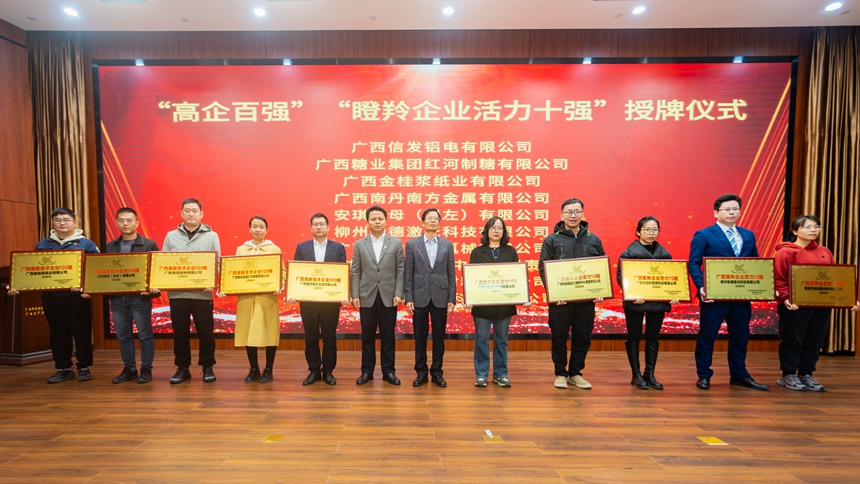 “高企百強(qiáng)”和“瞪羚企業(yè)活力十強(qiáng)”授牌儀式。嚴(yán)定超攝
