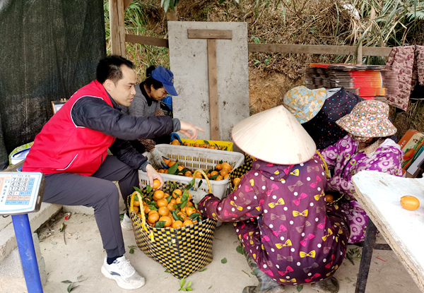 第一書記覃能統(tǒng)幫助農(nóng)戶挑選沃甘