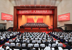 廣西壯族自治區(qū)政協(xié)十三屆三次會議舉行第二次全體會議