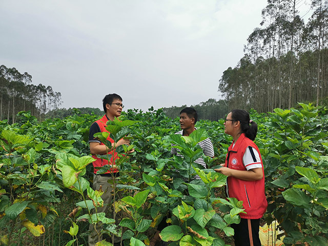 在甘棠鎮(zhèn)那冷村實地指導(dǎo)蠶?；亟ㄔO(shè)。