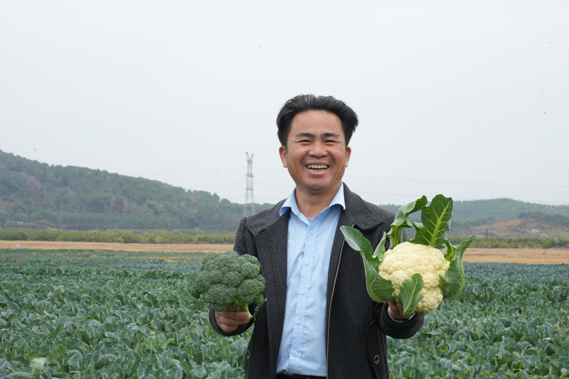 岑延杰介紹自己種植的西蘭花。