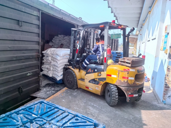 叉車、人力協(xié)同卸化肥作業(yè)現(xiàn)場。陳鑫攝