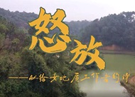 《怒放》-獻給女地質(zhì)隊員的詩