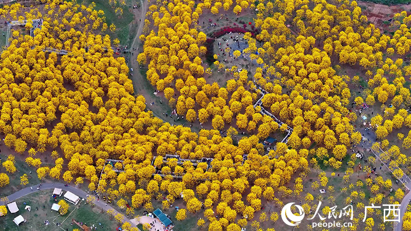 南寧市青秀山風(fēng)景名勝旅游區(qū)風(fēng)鈴谷。人民網(wǎng) 雷琦竣攝
