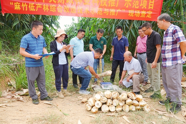 3.專家組在項(xiàng)目實(shí)施地點(diǎn)鹿寨鎮(zhèn)石路村新建屯進(jìn)行現(xiàn)場查定。