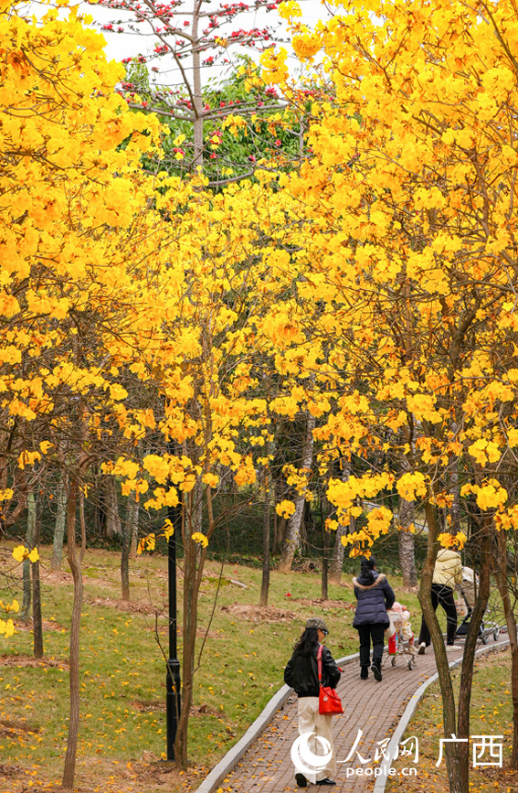 市民漫步公園。