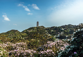 田林老山風光