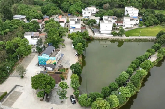 夏石社區(qū)魚塘