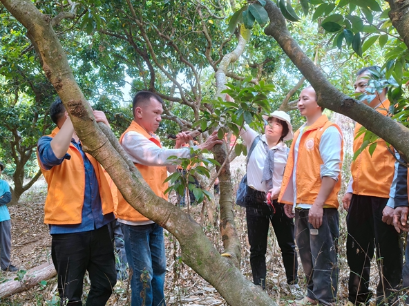科技技能培訓(xùn)賦能特色產(chǎn)業(yè)新發(fā)展