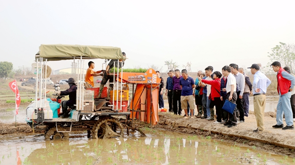 貴港首臺新型水稻有序拋秧機(jī)在港南區(qū)橋圩鎮(zhèn)應(yīng)用
