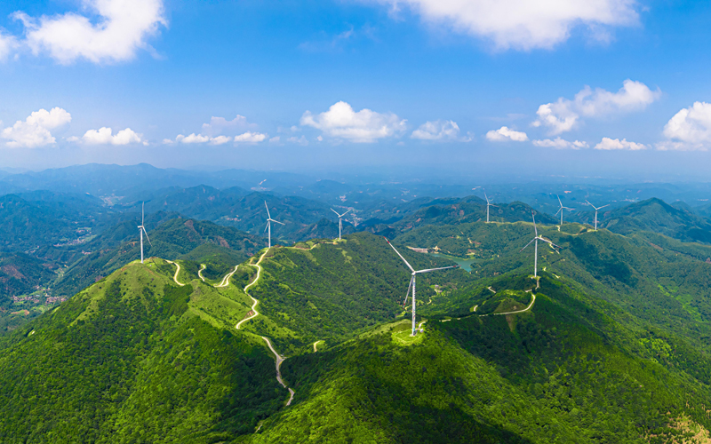 容縣：“文旅+香料”繪就鄉(xiāng)村振興新圖景