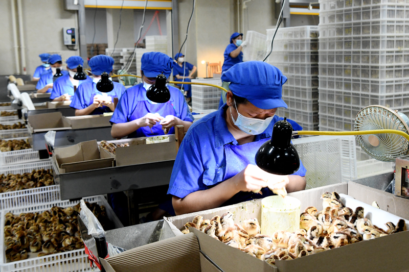 容縣：不負(fù)春光加油干 “孵化”發(fā)展新動(dòng)能