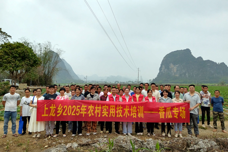 上龍鄉(xiāng)舉辦香瓜種植技術(shù)培訓(xùn)班。