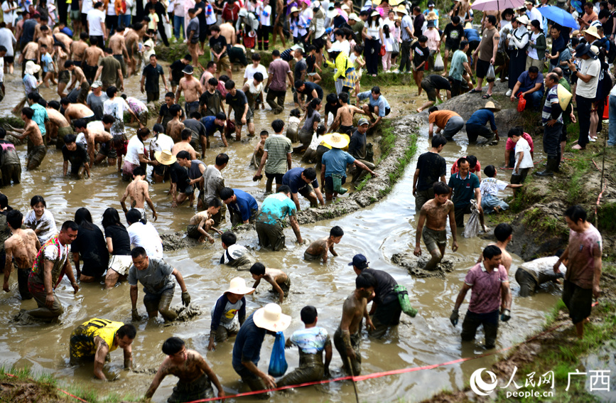 游客在梯田上參加“渾水摸魚”活動。