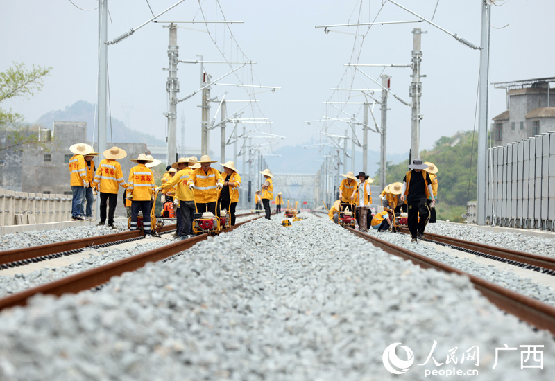 國鐵南寧局職工正在對南憑高鐵崇憑段線路進行軌道精調。