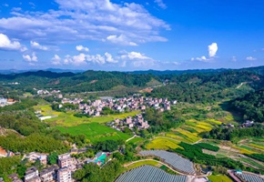 富萬村：生態(tài)和美