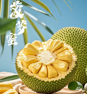 菠蘿蜜菠蘿蜜，果實巨大，外皮呈黃綠色，表面有粗糙的六角形瘤狀凸起，剝開厚重的外皮，內(nèi)部是金黃飽滿的果肉，散發(fā)著濃郁的甜蜜果香，口感柔軟甜潤、香氣馥郁。菠蘿蜜富含維生素、蛋白質(zhì)、礦物質(zhì)等，營養(yǎng)豐富且用途多樣，既可直接鮮食，也可加工成干果、罐頭或甜品。