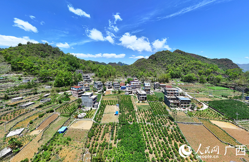 果桃村弄議屯。人民網(wǎng) 付華周攝