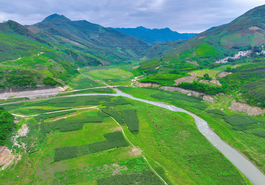 河退草現(xiàn)，灘涂化碧毯。王東晨攝