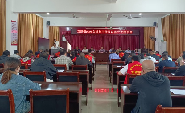 圖為馬隘鎮(zhèn)工作隊(duì)輪換經(jīng)驗(yàn)交流活動(dòng)現(xiàn)場。岑梅像攝