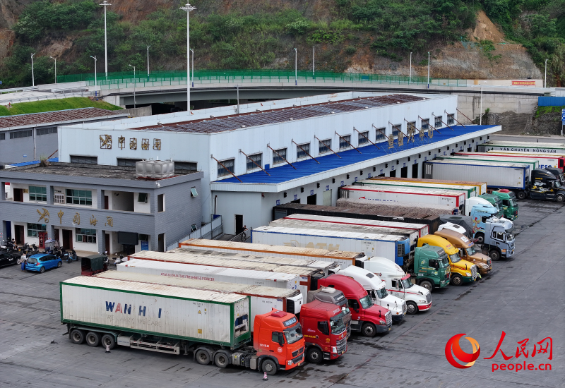 車輛停放整齊，等候查驗。人民網(wǎng) 雷琦竣攝