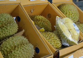 南寧市江南區(qū)：產(chǎn)地連銷地 高效流通市場旺泰國榴蓮、越南龍眼、印尼菠蘿蜜……進(jìn)入5月，大批量的東盟水果搶“鮮”上市。銷售量日均近1000噸，同比上漲72%。